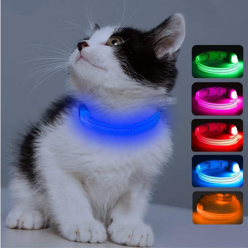 Candofly Light Up Dog Collar - USB Rechargeable Glowing Puppy Collar, Glow in The Dark Dog Lights for Night Walking Camping(X-Small, Blue) - Image 1